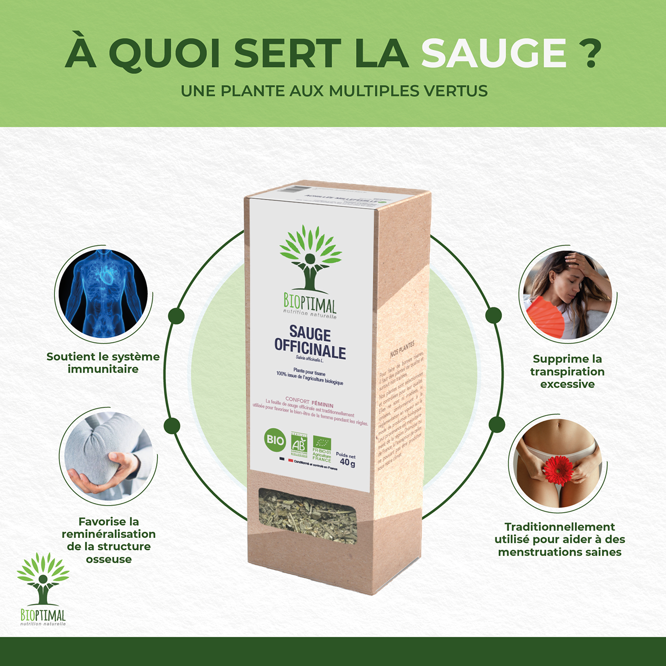 Sauge bio - Bioptimal Bioptimal Infusion infusion.organic