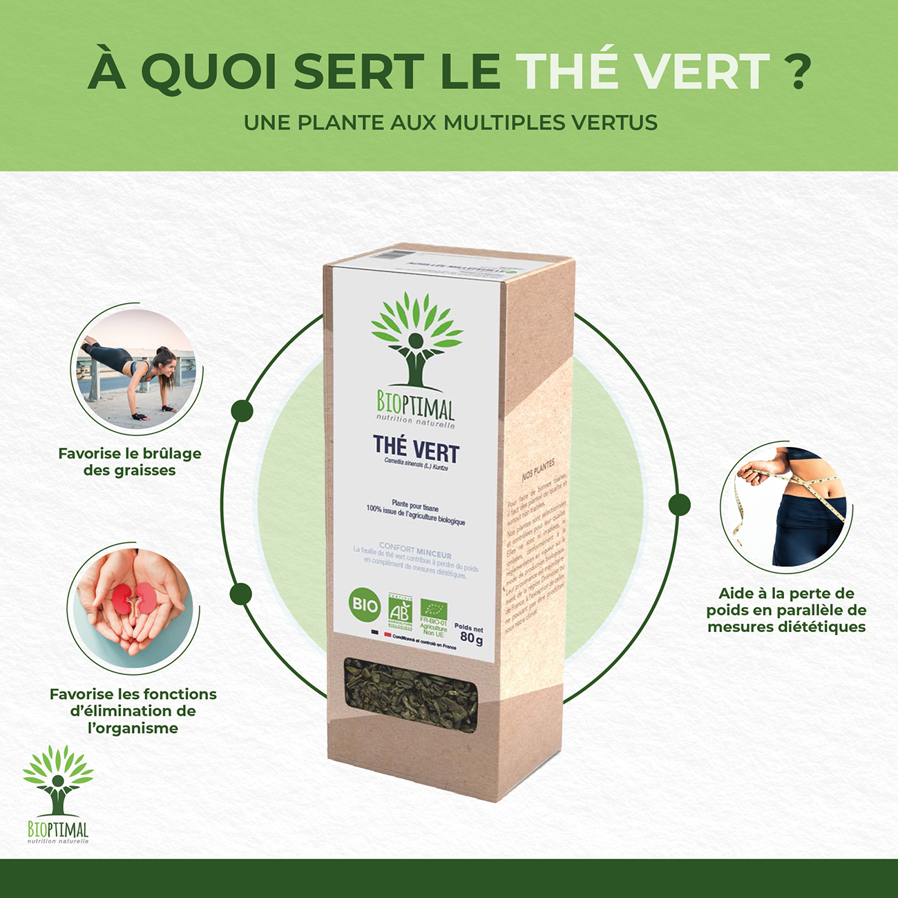 Thé vert bio - Bioptimal Bioptimal Infusion infusion.organic