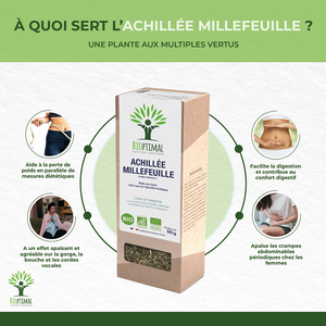 Achillé millefeuille bio - Bioptimal Bioptimal Infusion infusion.organic