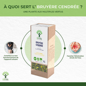 Bruyère bio - Bioptimal Bioptimal Infusion infusion.organic