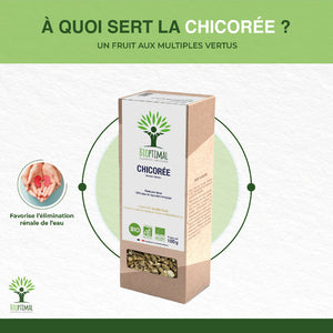 Chicorée bio - Bioptimal Bioptimal Infusion infusion.organic