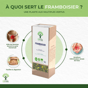 Framboisier bio - Bioptimal Bioptimal Infusion infusion.organic