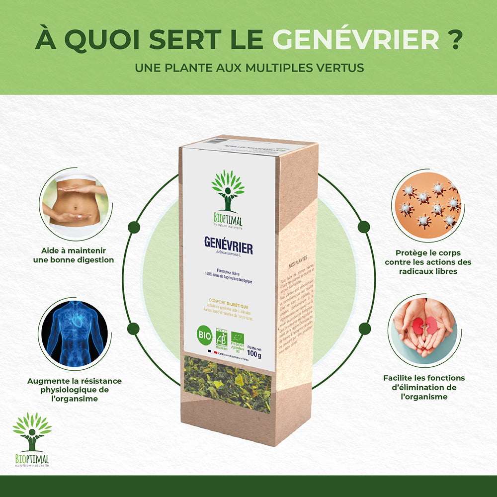 Genévrier bio - Bioptimal Bioptimal Infusion infusion.organic