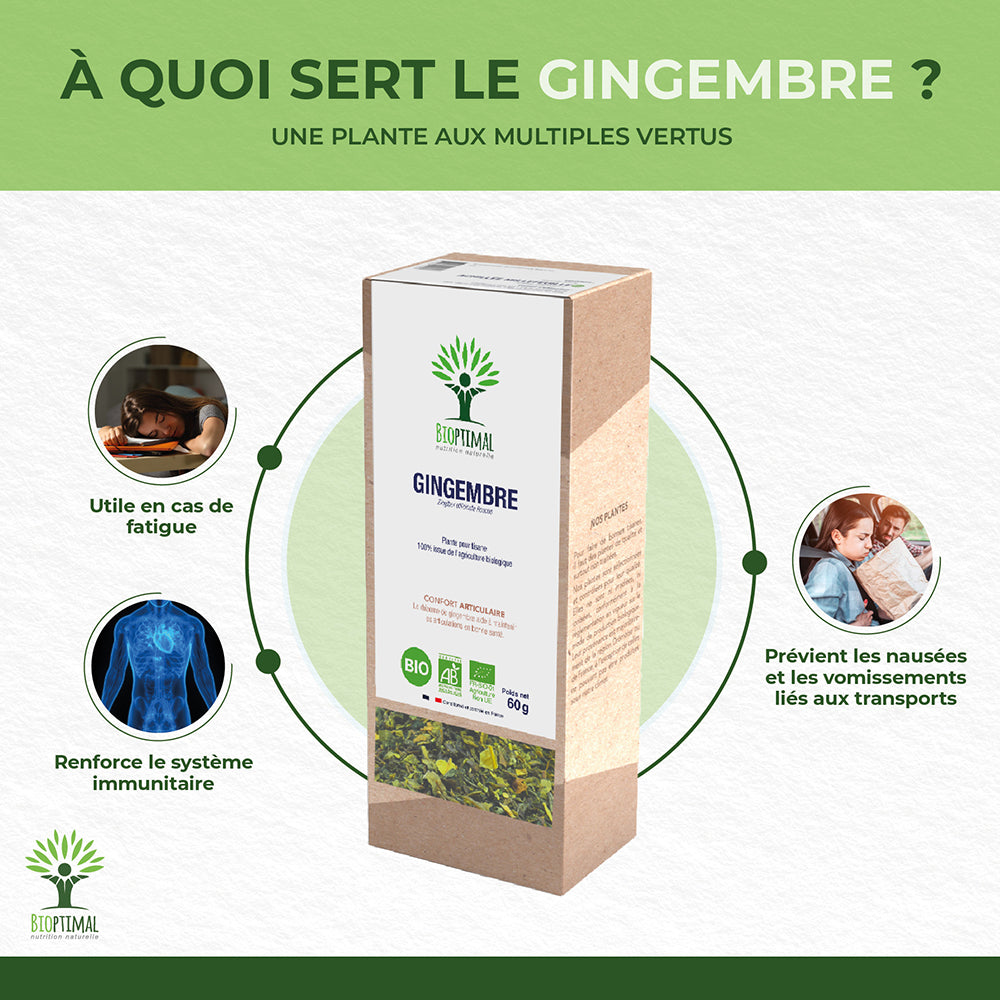 Gingembre bio - Bioptimal Bioptimal Infusion infusion.organic