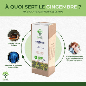 Gingembre bio - Bioptimal Bioptimal Infusion infusion.organic