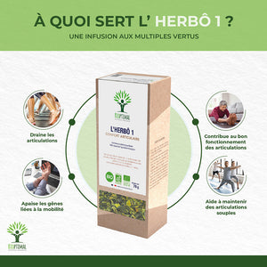 L'herbô 1 confort articulaire - Bioptimal Bioptimal Infusion infusion.organic