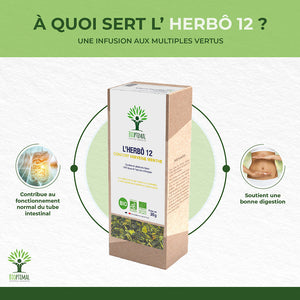 L'herbô 12 Verveine & Menthe - Bioptimal Bioptimal Infusion infusion.organic
