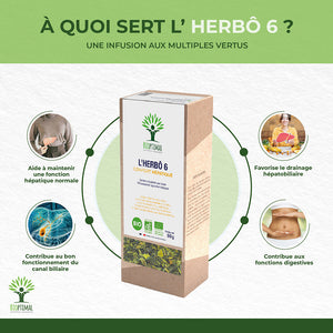 L'herbô 6 confort hépatique - Bioptimal Bioptimal Infusion infusion.organic