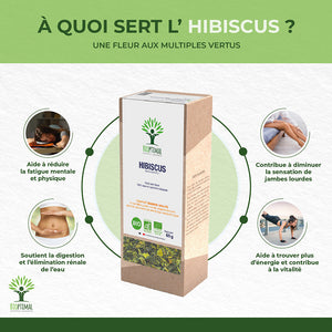 Hibiscus bio - Bioptimal Bioptimal Infusion infusion.organic