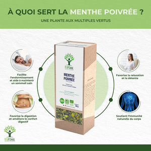 Menthe poivrée bio - Bioptimal Bioptimal Infusion infusion.organic
