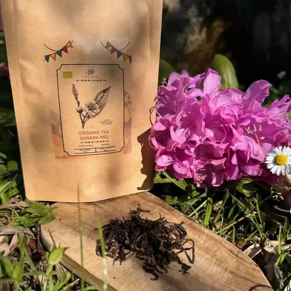 Red (Black) Banana Tea from Nepal - Black Tea - Black Tea - infusion.organic