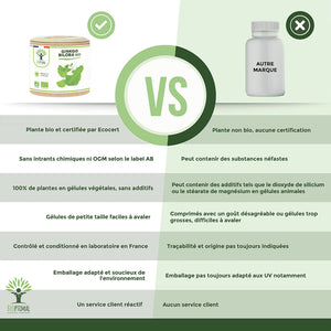 Ginkgo Biloba bio gélules - Bioptimal Bioptimal Complément alimentaire infusion.organic