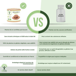 Psyllium bio gélules - Bioptimal Bioptimal Complément alimentaire infusion.organic