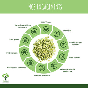 Protéines de pois bio poudre - Bioptimal Bioptimal Nutrition sportive infusion.organic