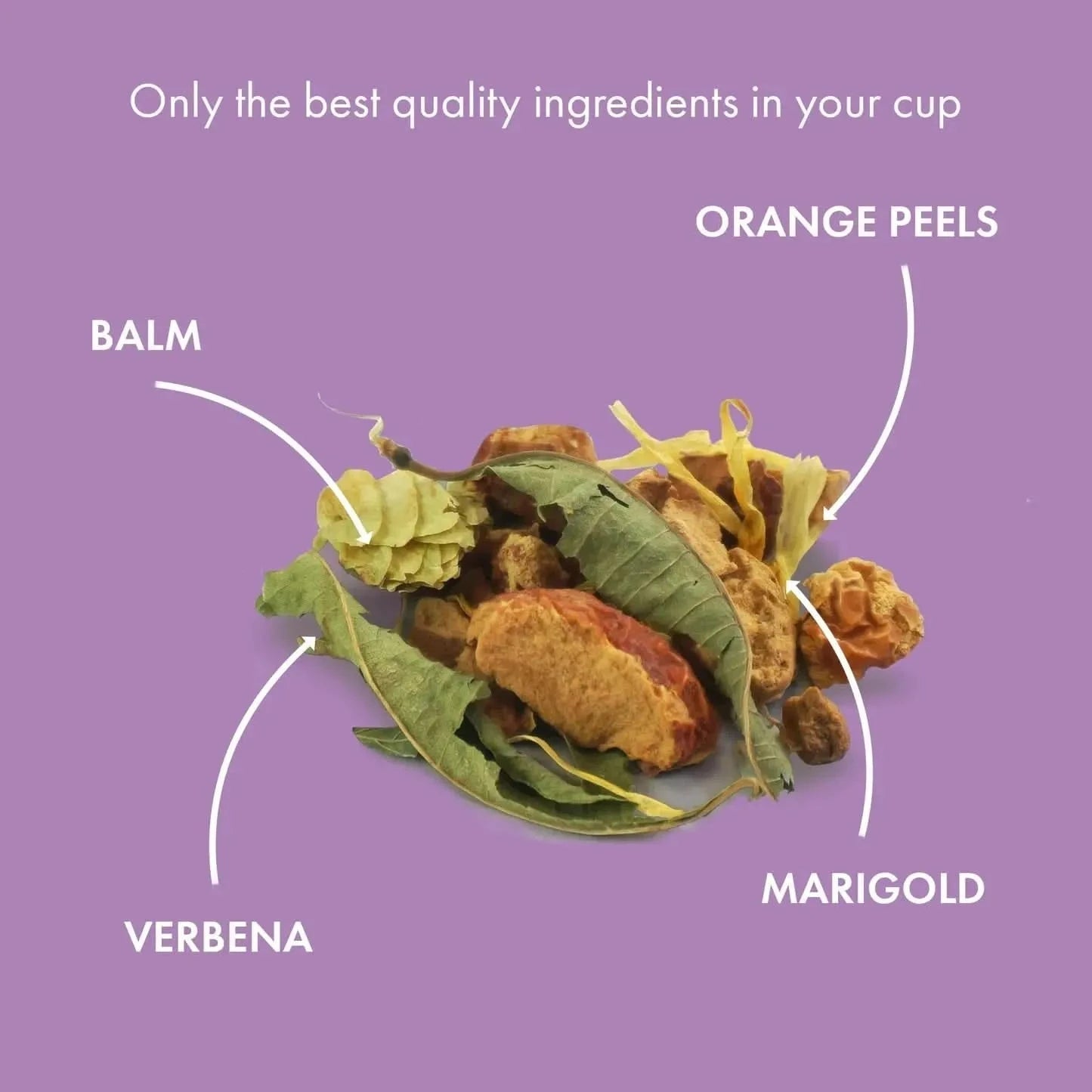 Sunny Dreams ORGANIC - Herbal tea - Branded - infusion.organic