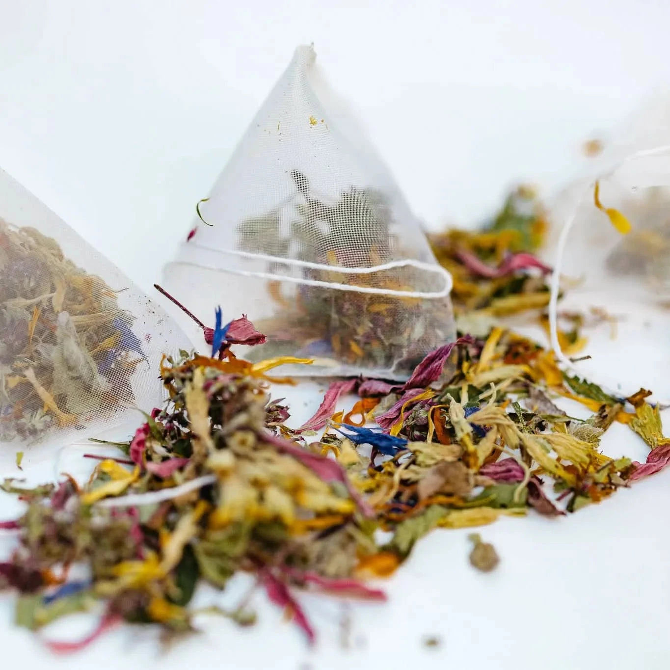 Holiday Herbal tea gift set NORDIC BLENDS | organic-Plūkt-infusion.organic