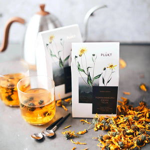 Jerusalem Artichoke Flower Tea -certified organic herbal te-Plūkt-infusion.organic