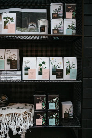 Jerusalem Artichoke Flower Tea -certified organic herbal te-Plūkt-infusion.organic