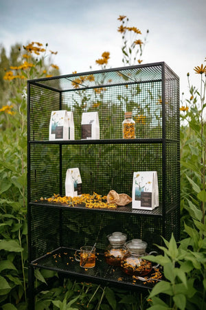 Jerusalem Artichoke Flower Tea -certified organic herbal te-Plūkt-infusion.organic