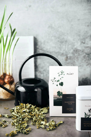 Lady's Mantle Tea - certified organic, herbal tea for women-Plūkt-infusion.organic