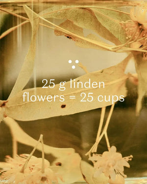 Linden Tea - honey tea, certified organic Nordic herbal tea-Plūkt-infusion.organic