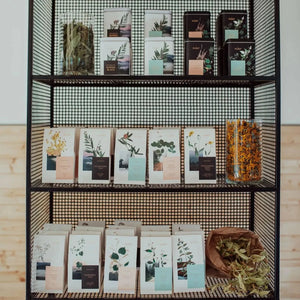 Linden Tea - honey tea, certified organic Nordic herbal tea-Plūkt-infusion.organic