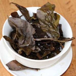 Gaba Oolong Tea - 25 g - Oolong Tea - Oolong Tea - infusion.organic