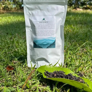 Kesane Oolong Tea - Oolong Tea - Oolong Tea - infusion.organic