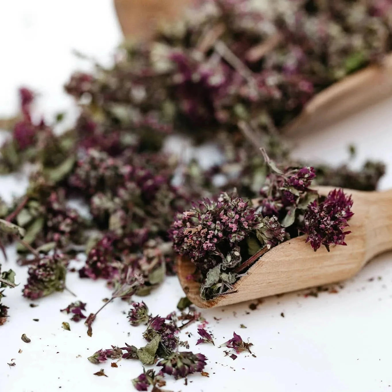 Oregano Whole Flower Tea -organic,Nordic herbal tea,aromatic-Plūkt-infusion.organic