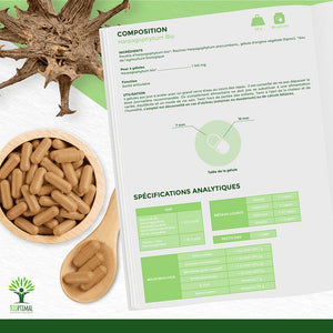 Harpagophytum bio gélules - Bioptimal Bioptimal Complément alimentaire infusion.organic