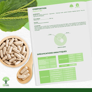 Psyllium bio gélules - Bioptimal Bioptimal Complément alimentaire infusion.organic