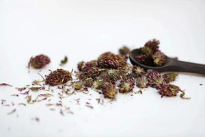 Red Clover Tea -loose tea,wellness tea,organic herbal tea-Plūkt-infusion.organic