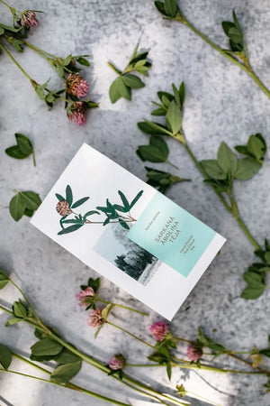 Red Clover Tea -loose tea,wellness tea,organic herbal tea-Plūkt-infusion.organic
