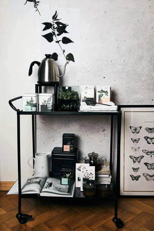 Red Clover Tea -loose tea,wellness tea,organic herbal tea-Plūkt-infusion.organic