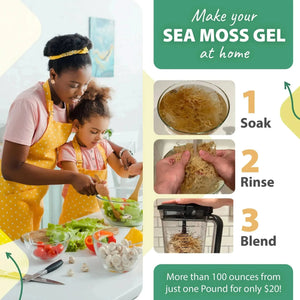 CRAFTED RAW SEA MOSS - Sea Moss - Minerals, Sea Moss, Supplement - infusion.organic