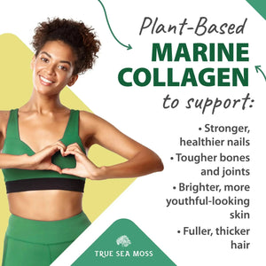 CRAFTED RAW SEA MOSS - Sea Moss - Minerals, Sea Moss, Supplement - infusion.organic