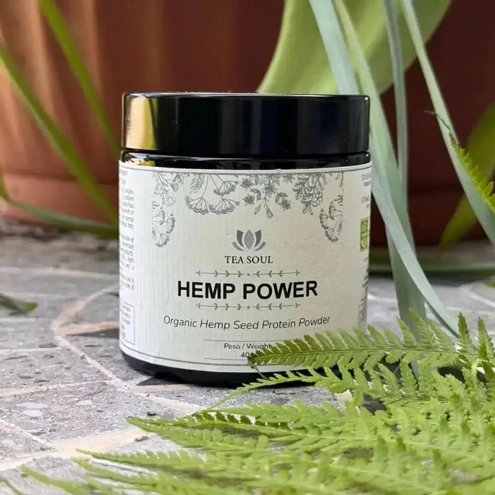 Hemp Power Organic 40g - Supplements - Supplements - infusion.organic