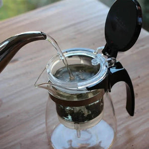 Glass mug with press filter 500ml - Teapot - Teapot - infusion.organic