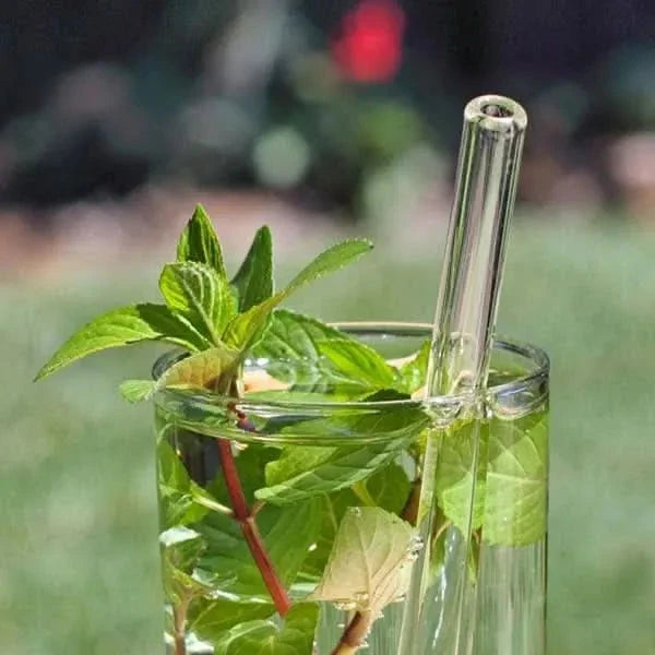 Glass Straw - Straight - Transparent -180x8mm-Reusable Straw - Accessories - Accessories - infusion.organic
