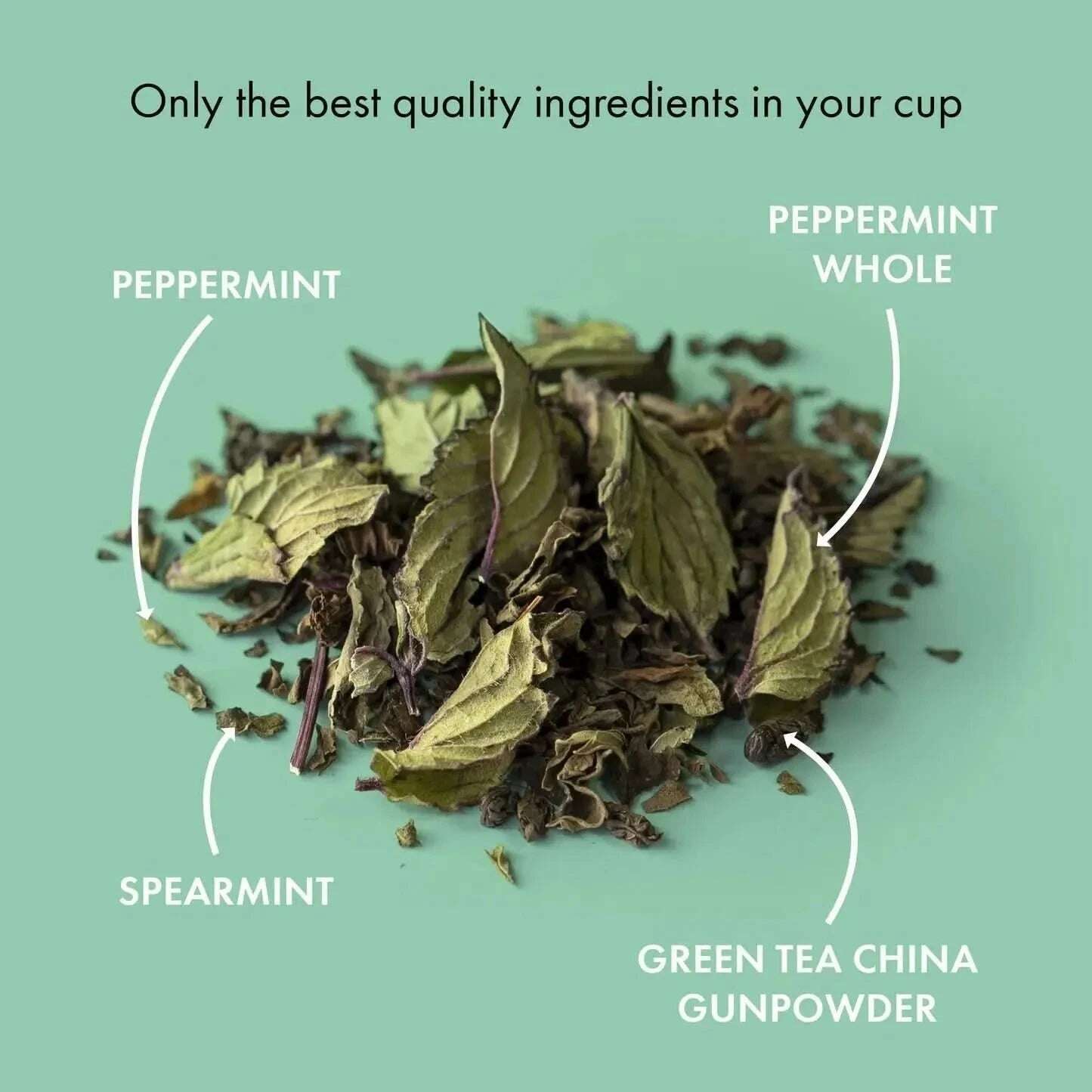 Marrakesh Nights ORGANIC - Green tea - Branded - infusion.organic