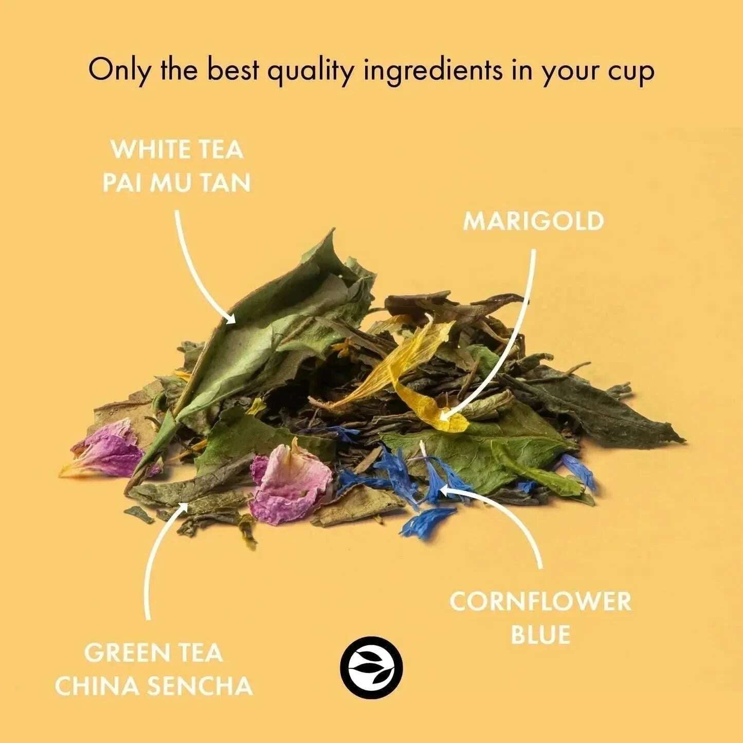 Morning Melody - Green tea - Branded - infusion.organic