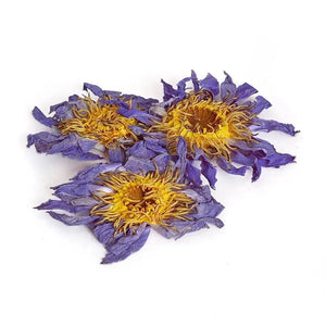 Dried Blue Lotus Flower - Herbal tea - Herbal tea - infusion.organic
