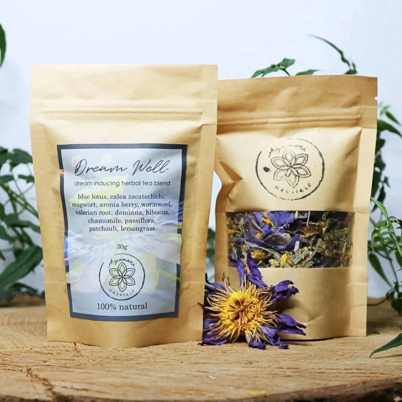 Dream Well Herbal Tea for Lucid Dreaming & Astral Projection - Magical Tea - Magical Tea - infusion.organic
