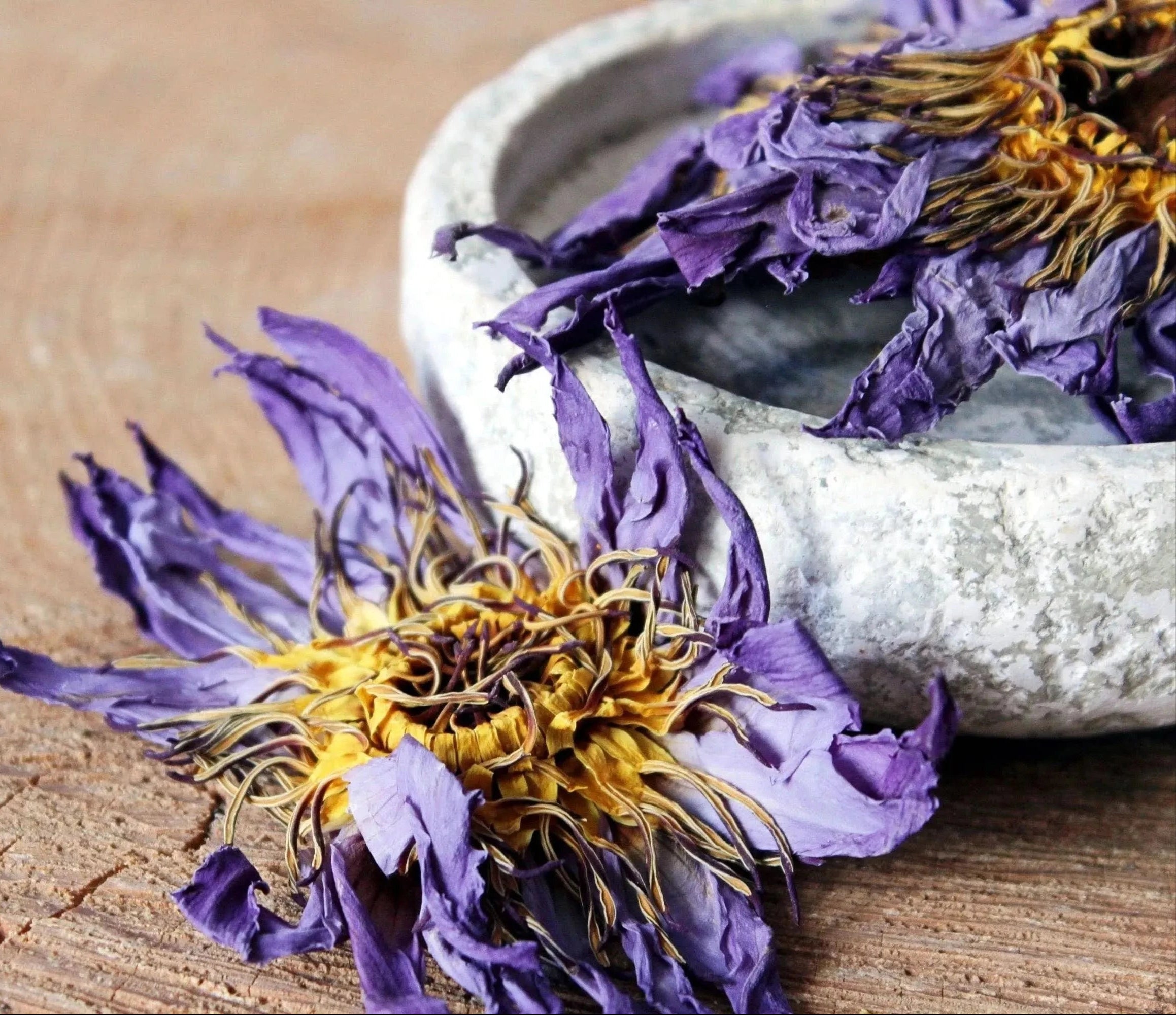 Nymphaea Caerulea Egyptian Blue Lotus Dried WHOLE FLOWER - Magical Tea - infusion.organic