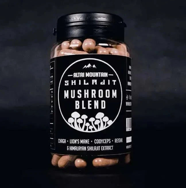 Shilajit Mushroom Blend - Mushrooms, Supplements, Adaptogens - Adaptogens, Mushrooms, Supplements - infusion.organic