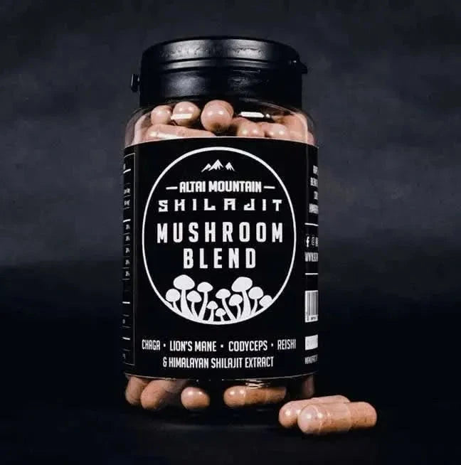 Shilajit Mushroom Blend - Mushrooms, Supplements, Adaptogens - Adaptogens, Mushrooms, Supplements - infusion.organic