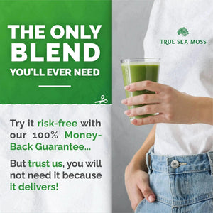 Sea Moss Green Superfood Blend with Spirulina, Ashwagandha - Sea Moss - Minerals, Supplement - infusion.organic