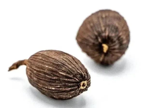 Black cardamom - Spices - Spices - infusion.organic