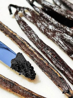 Bourbon Gourmet Vanilla Beans - Madagascar - Spices - Spices - infusion.organic