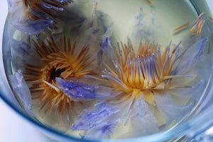 Nymphaea Caerulea Egyptian Blue Lotus Dried WHOLE FLOWER Magical Tea Ayamani Naturals infusion.organic